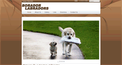 Desktop Screenshot of boradorlabradors.com